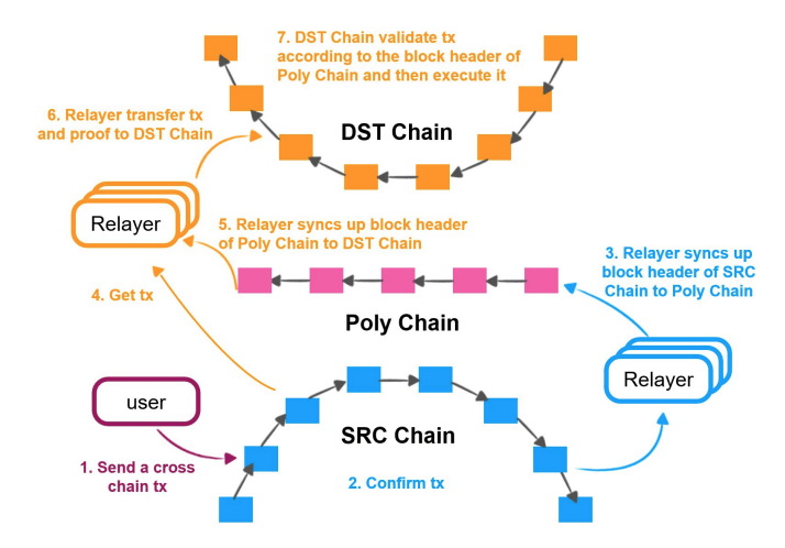 Poly Networks